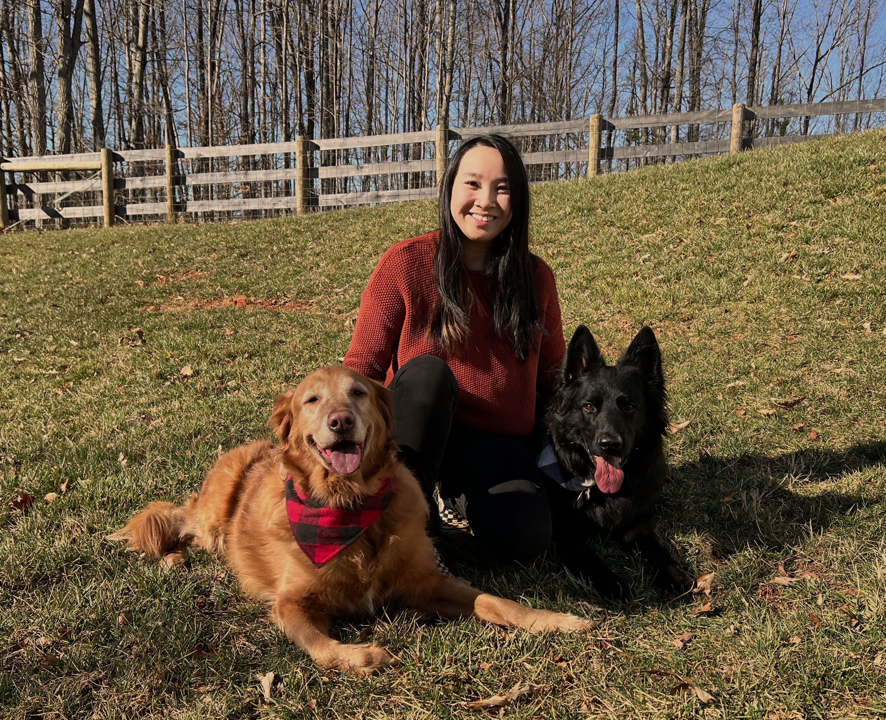 Girl holding german shepherd dog and golden retriever