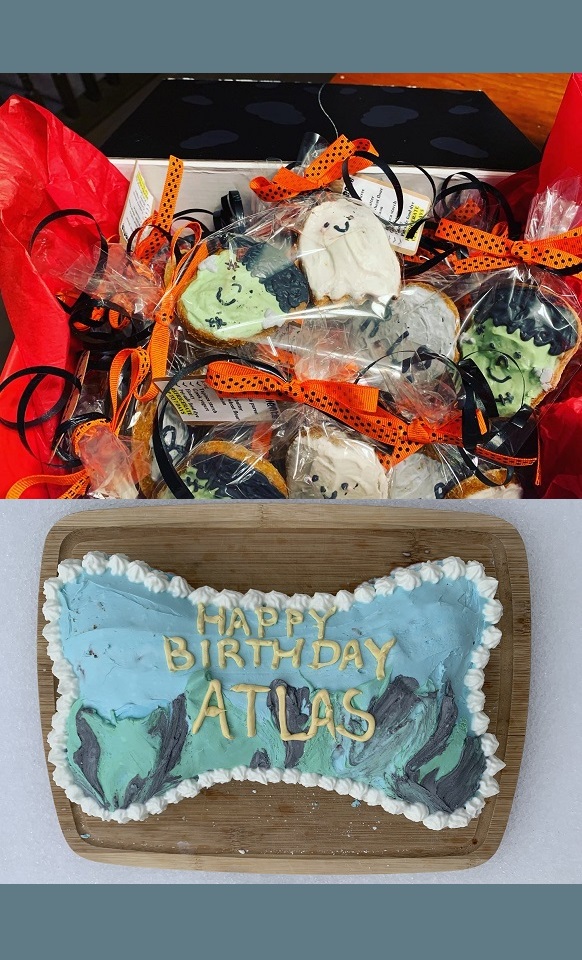 Box of custom Halloween dog treats as the top picture. Custom dog birthday cake as the bottom picture.